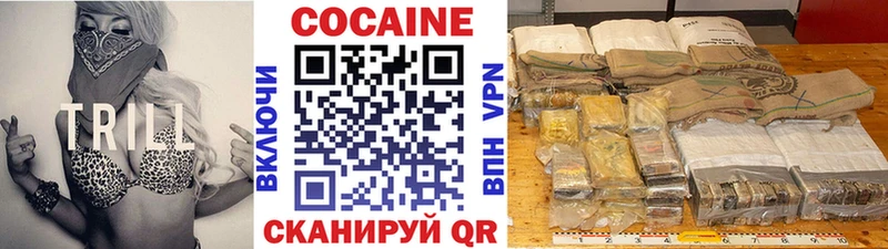 Cocaine FishScale OMG вход Солигалич