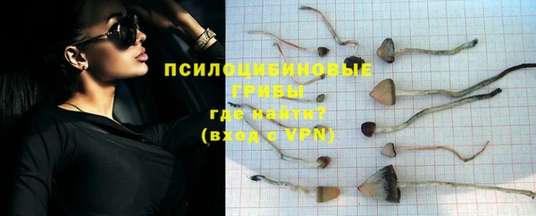 хмурый Алексеевка