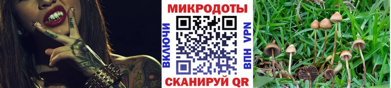Псилоцибиновые грибы MAGIC MUSHROOMS  магазин    Солигалич 